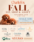 Salt Air Pilates x Charlie Fox | Fall Sip, Shop & Adopt 🍂